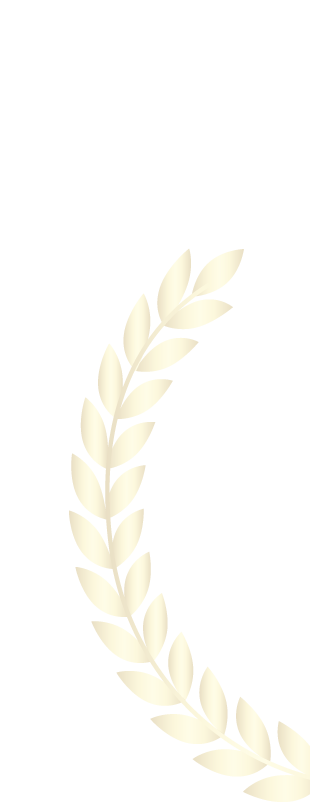 shape